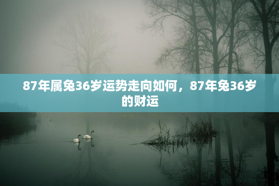 87年属兔36岁运势走向如何，87年兔36岁的财运