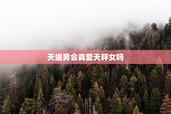 天蝎男会真爱天秤女吗
