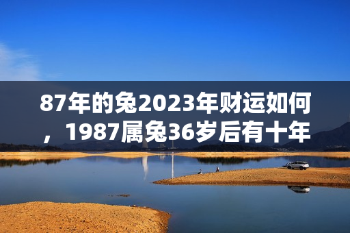 87年的兔2023年财运如何，1987属兔36岁后有十年大运