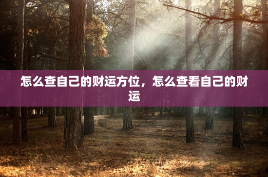 怎么查自己的财运方位，怎么查看自己的财运