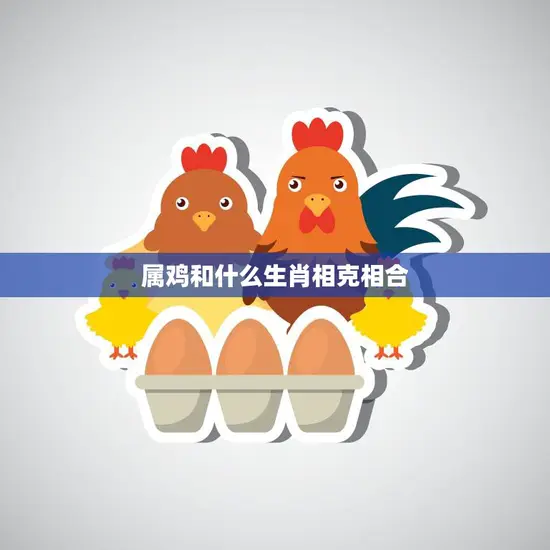 属鸡和什么生肖相克相合(生肖配对大揭秘)