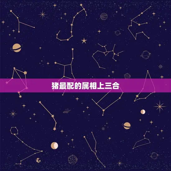 猪最配的属相上三合