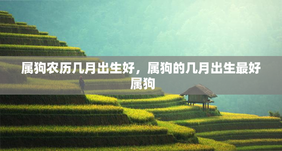 属狗农历几月出生好，属狗的几月出生最好 属狗