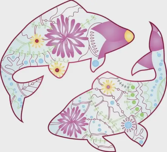 双鱼座星象周期