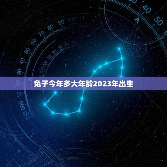 兔子今年多大年龄2023年出生(兔子年龄计算方法详解)