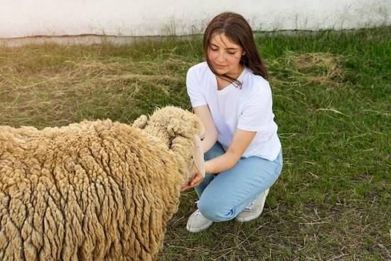 1967年属羊的今年运势(如何应对2023年的挑战)