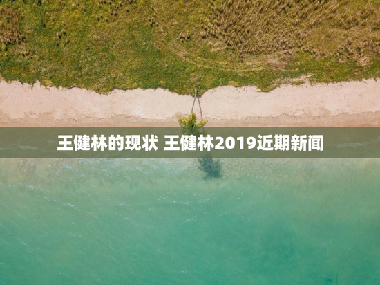 王健林的现状 王健林2019近期新闻
