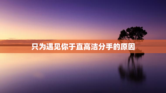 只为遇见你于直高洁分手的原因