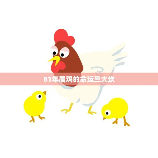 81年属鸡的命运三大坎(如何应对)