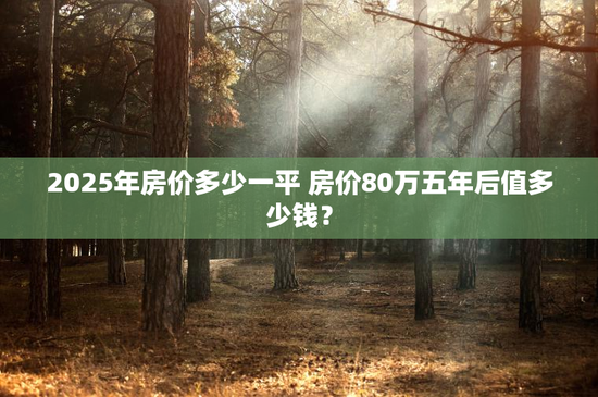 2025年房价多少一平 房价80万五年后值多少钱？