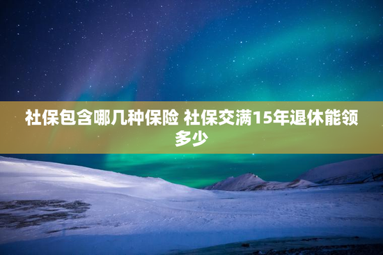社保包含哪几种保险 社保交满15年退休能领多少