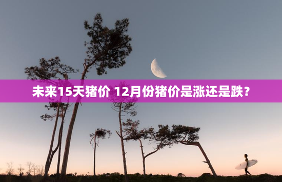 未来15天猪价 12月份猪价是涨还是跌？