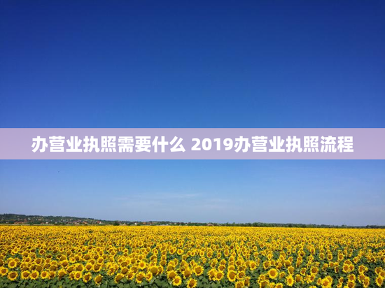 办营业执照需要什么 2019办营业执照流程