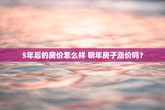 5年后的房价怎么样 明年房子涨价吗？