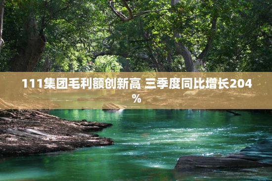 111集团毛利额创新高 三季度同比增长204%
