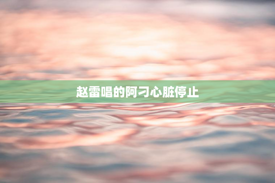 赵雷唱的阿刁心脏停止