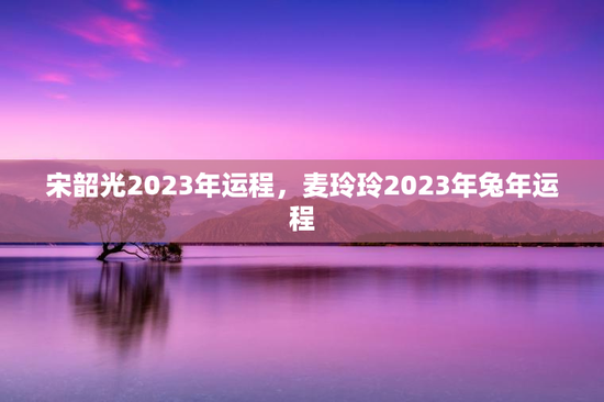 宋韶光2023年运程，麦玲玲2023年兔年运程