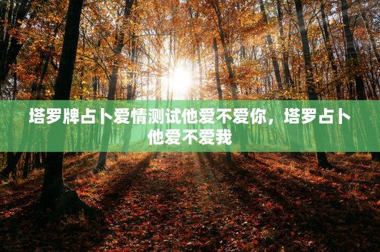 塔罗牌占卜爱情测试他爱不爱你，塔罗占卜他爱不爱我