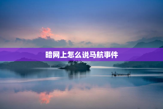 暗网上怎么说马航事件