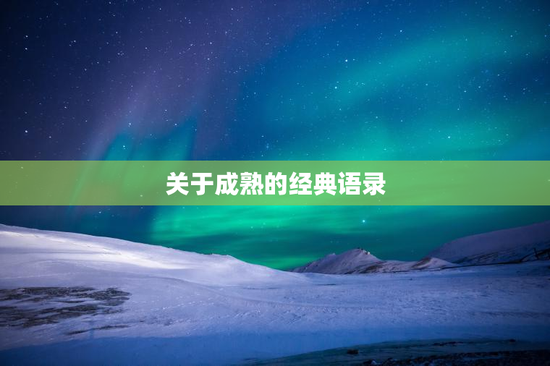 关于成熟的经典语录