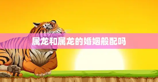 属龙和属龙的婚姻般配吗(如何避免龙争虎斗)