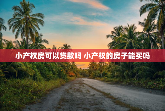小产权房可以贷款吗 小产权的房子能买吗
