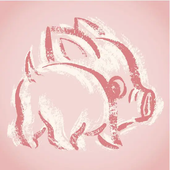 2007年几月猪命苦男(命运多舛的一年)