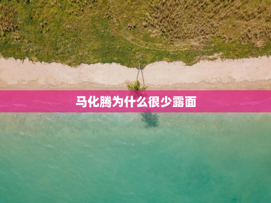 马化腾为什么很少露面