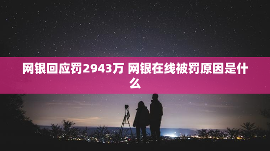 网银回应罚2943万 网银在线被罚原因是什么