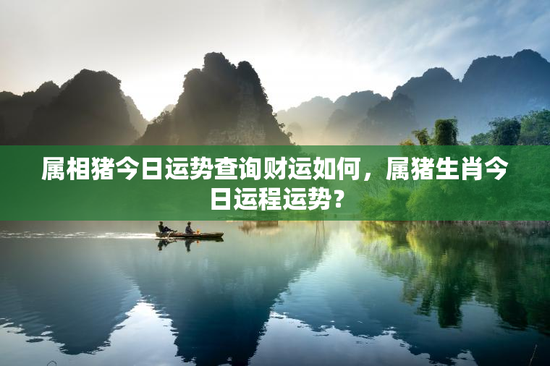 属相猪今日运势查询财运如何，属猪生肖今日运程运势？