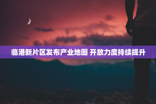 临港新片区发布产业地图 开放力度持续提升