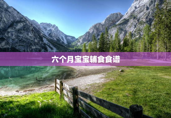 六个月宝宝辅食食谱