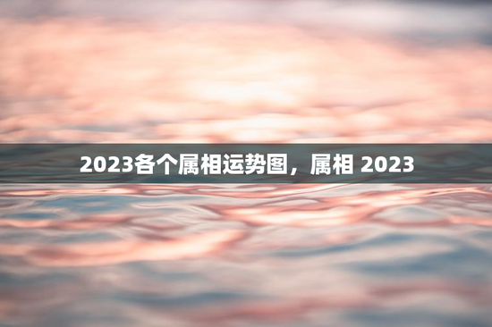 2023各个属相运势图，属相 2023