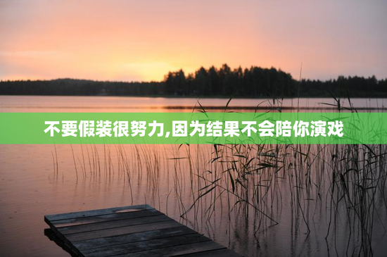 不要假装很努力,因为结果不会陪你演戏