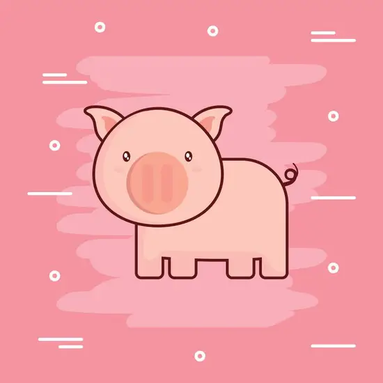 属猪女今天的运势如何呢(星象预测)