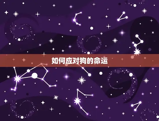 如何应对狗的命运