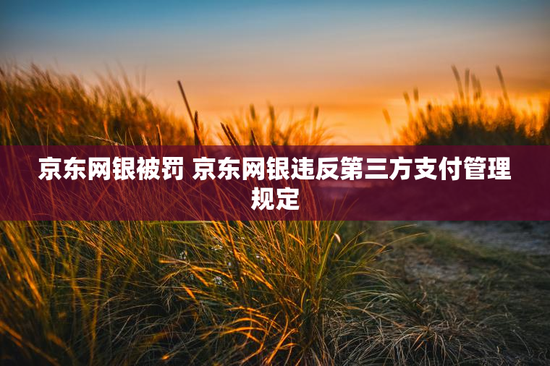 京东网银被罚 京东网银违反第三方支付管理规定