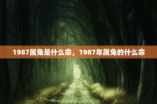 1987属兔是什么命，1987年属兔的什么命