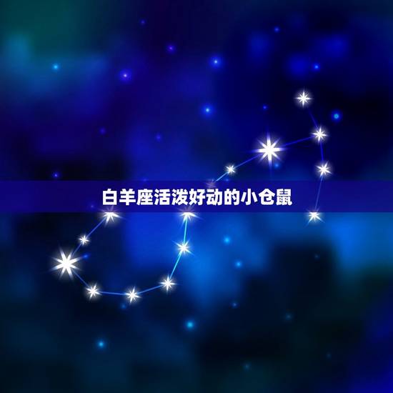 白羊座活泼好动的小仓鼠