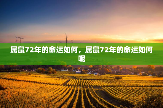 属鼠72年的命运如何，属鼠72年的命运如何呢