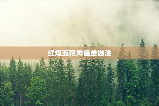 红烧五花肉简单做法