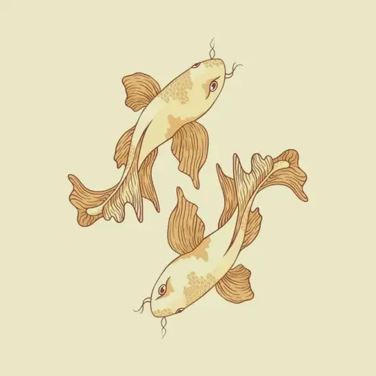 双鱼座财富管理攻略