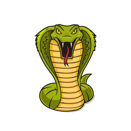 属蛇的男士戴什么吊坠好(如何选择最适合的护身符)