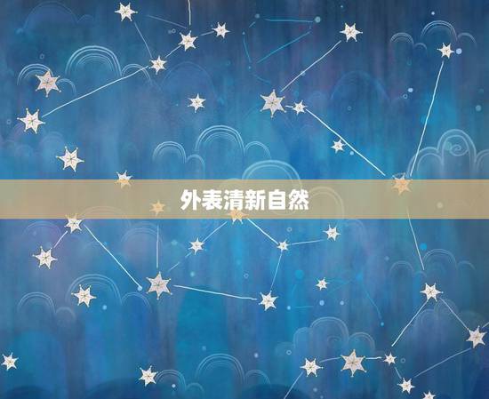 外表清新自然