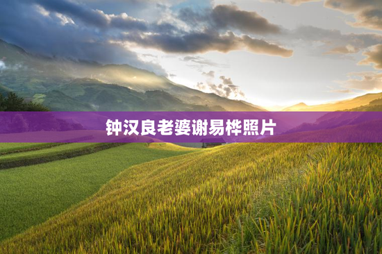 钟汉良老婆谢易桦照片