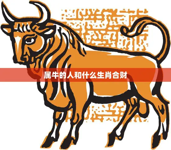 属牛的人和什么生肖合财(最佳配对大揭秘)