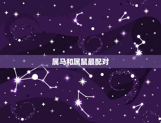 属马和属鼠最配对