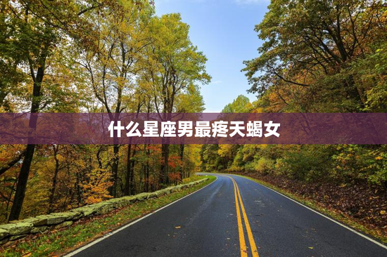 什么星座男最疼天蝎女
