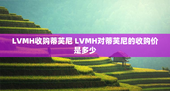 LVMH收购蒂芙尼 LVMH对蒂芙尼的收购价是多少