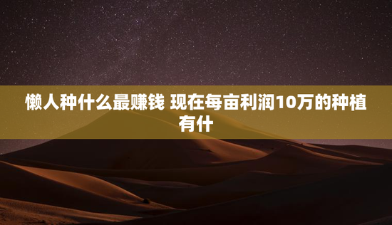 懒人种什么最赚钱 现在每亩利润10万的种植有什